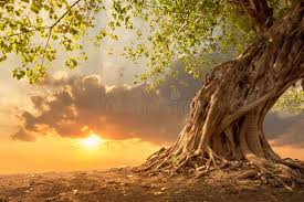 TREE VIEW